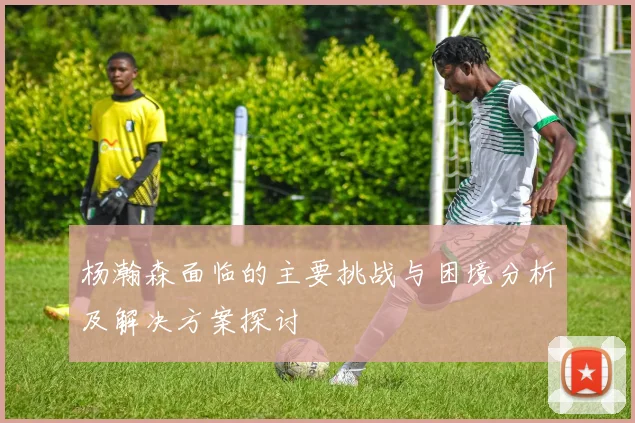 杨瀚森面临的主要挑战与困境分析及解决方案探讨