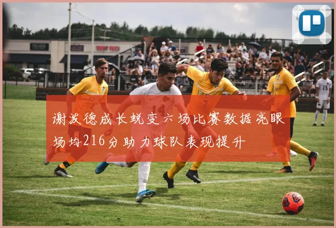 谢泼德成长蜕变六场比赛数据亮眼场均216分助力球队表现提升