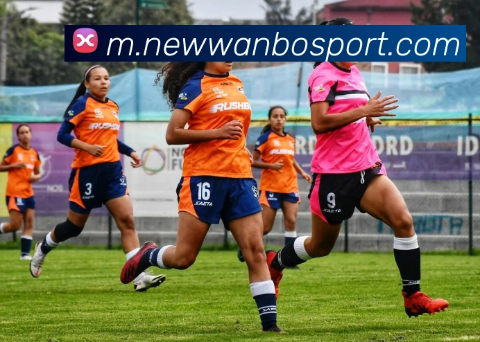 App Interface Preview