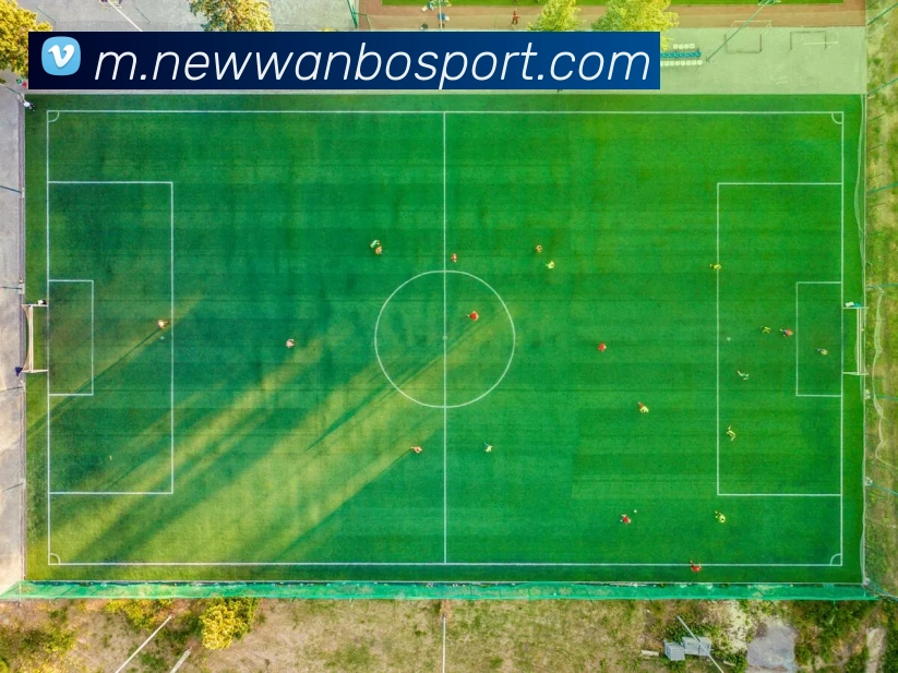 万博足球官网APP 封面图